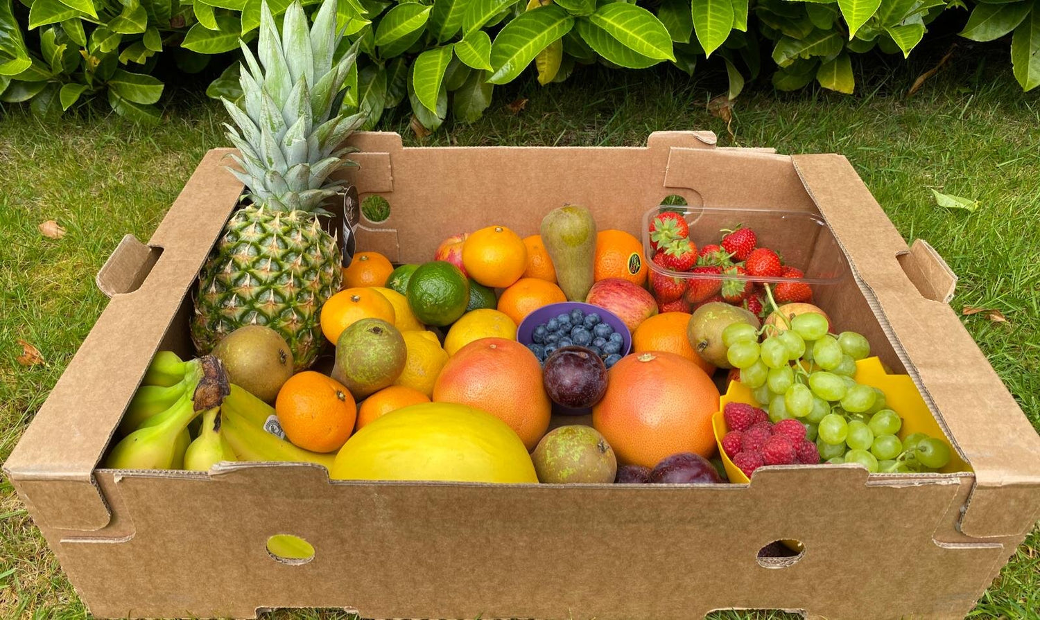 Family Fruit Box