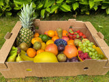 Family Fruit Box