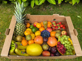 Family Fruit Box