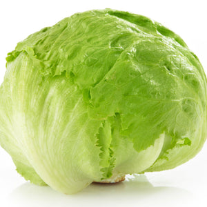 Iceberg Lettuce