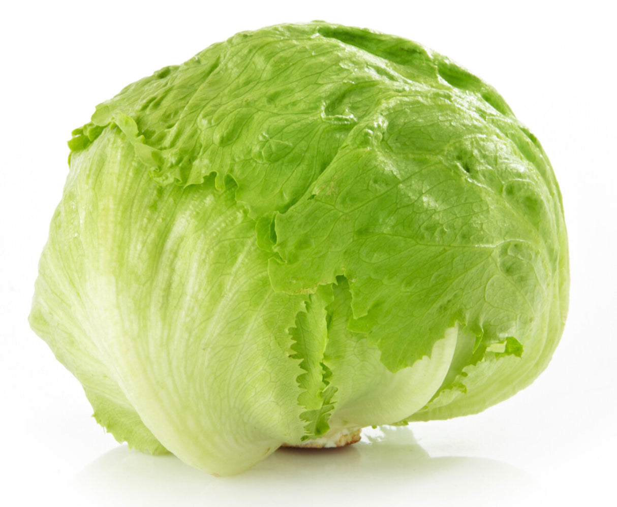 Iceberg Lettuce