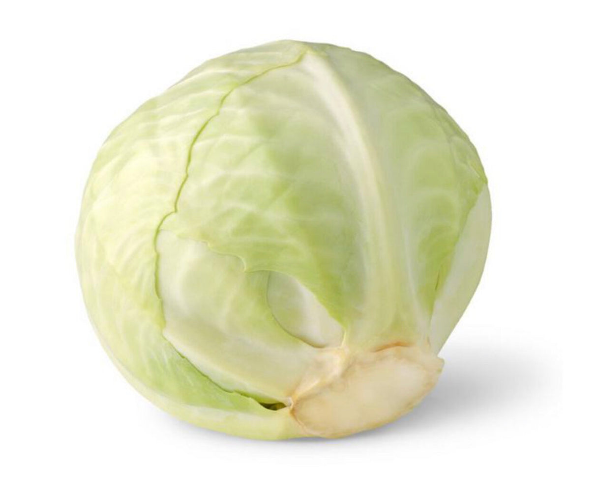 White Cabbage