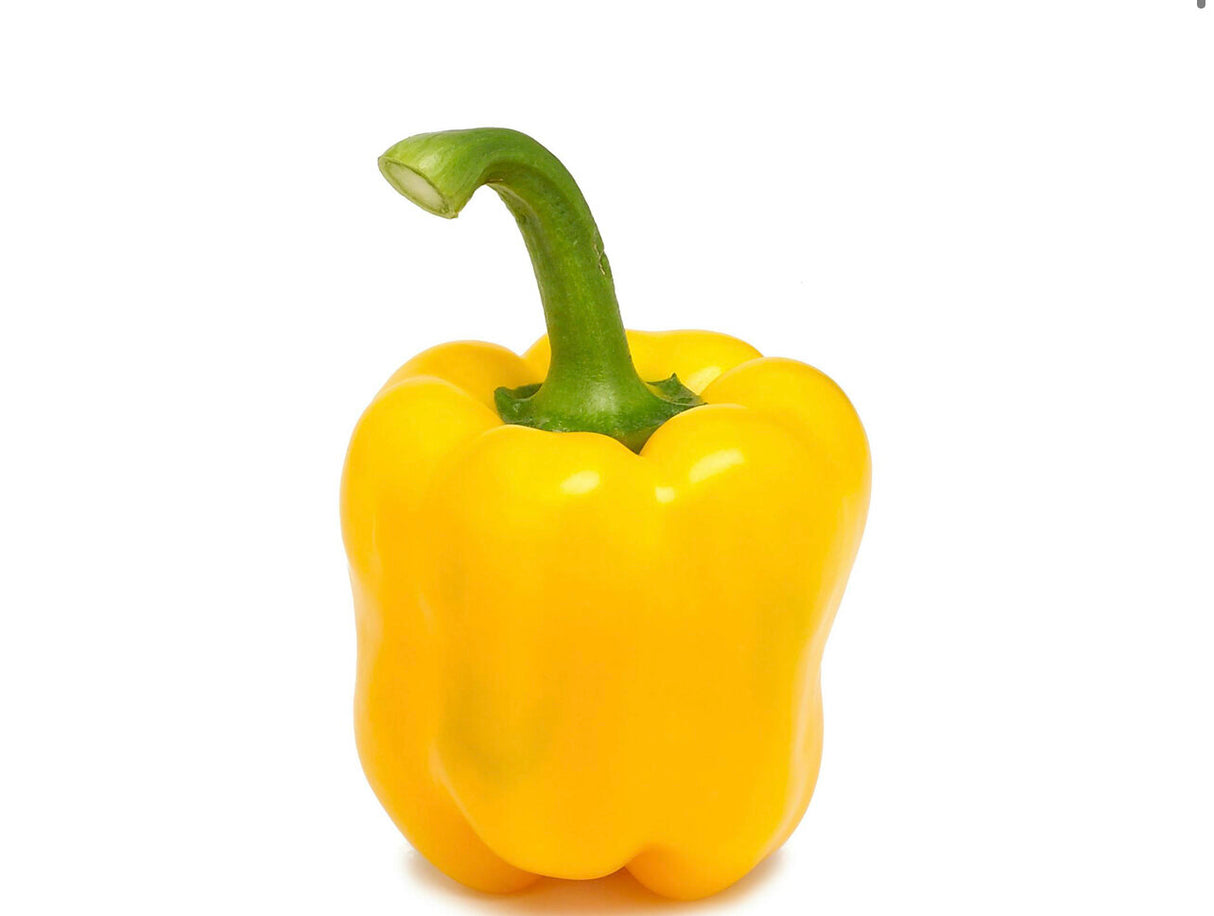 Yellow Pepper