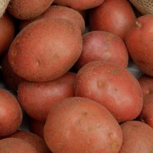 Red Rooster Potatoes Kilo