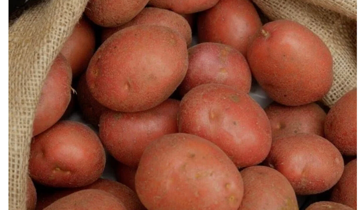 Red Rooster Potatoes Kilo