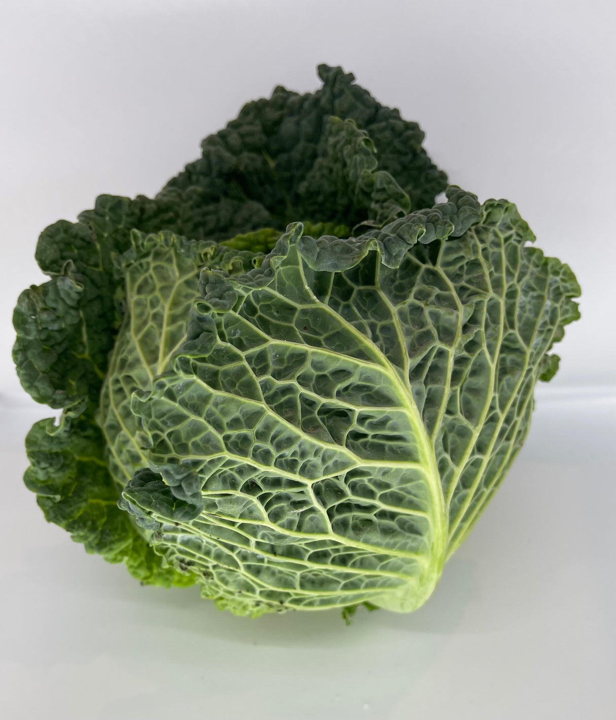 Savoy Cabbage