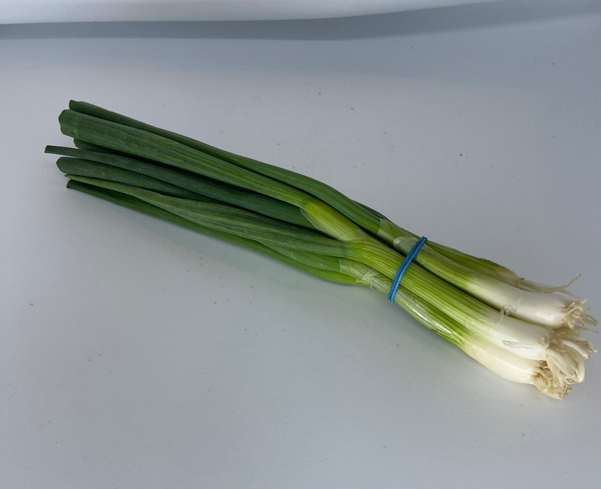 Spring Onion