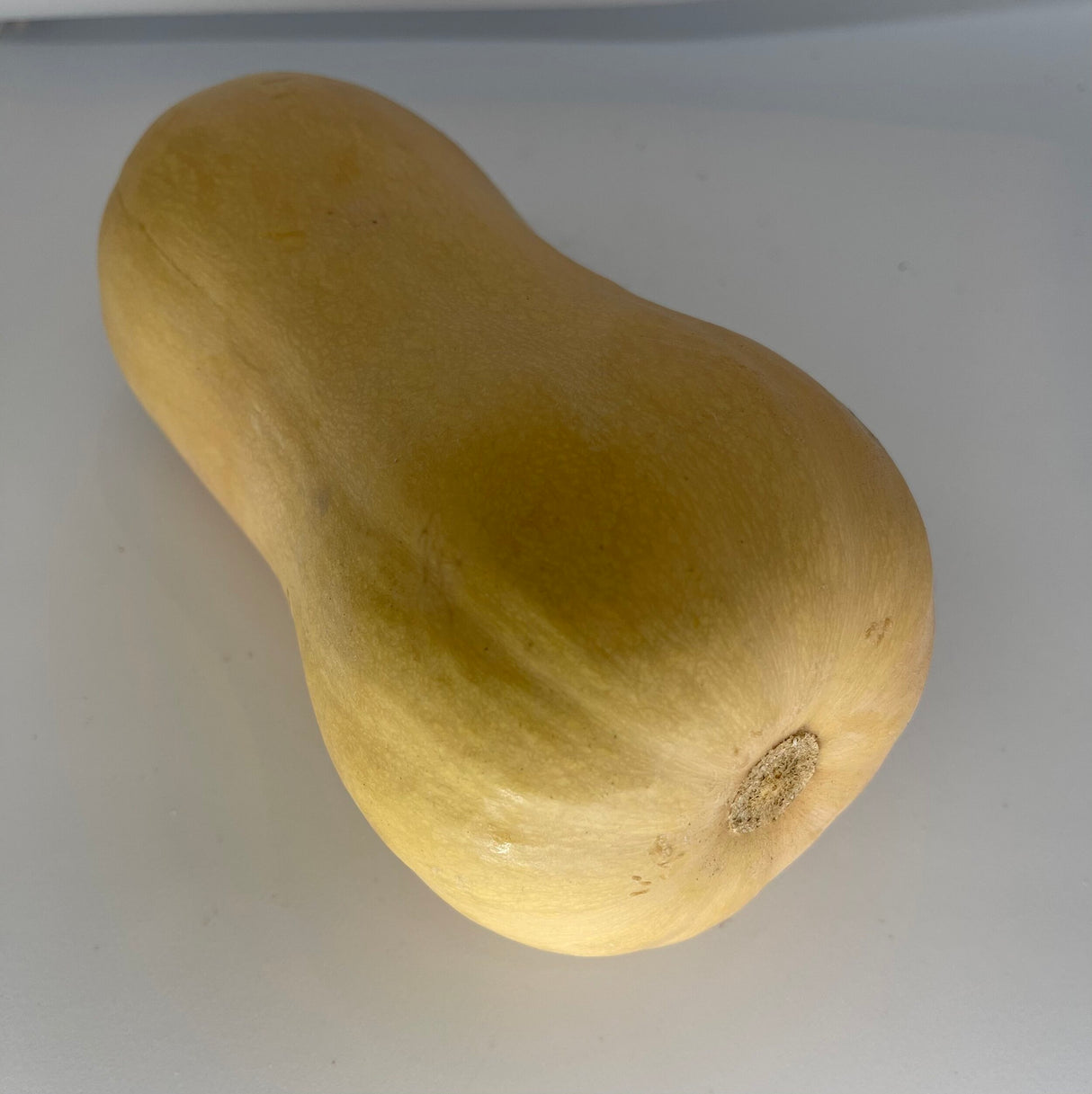 Butternut squash