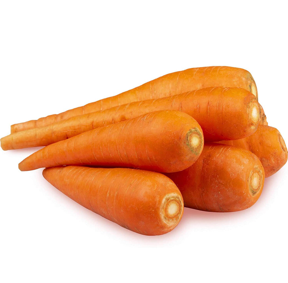 Carrot