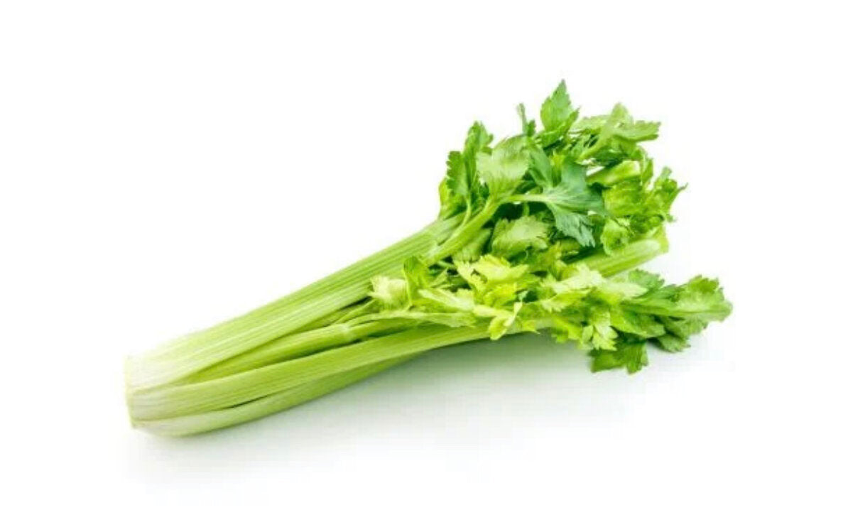 Celery