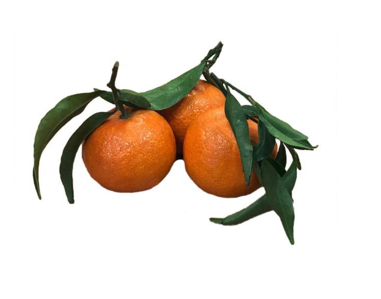 Satsumas