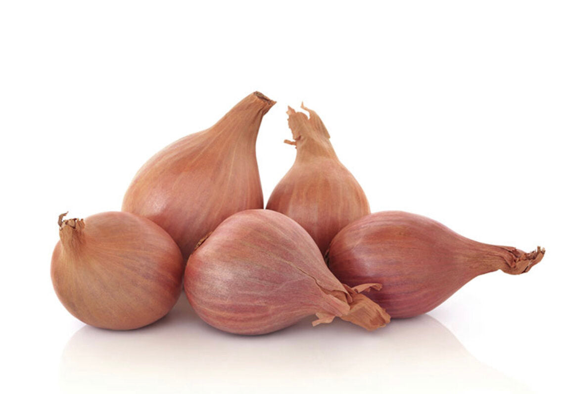 Shallot each