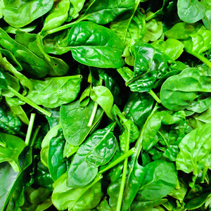 Baby Leaf Spinach