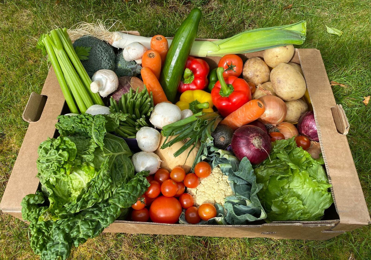 Family Veg and Salad Box