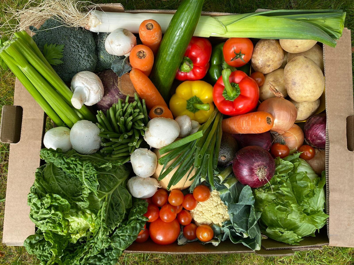 Family Veg and Salad Box