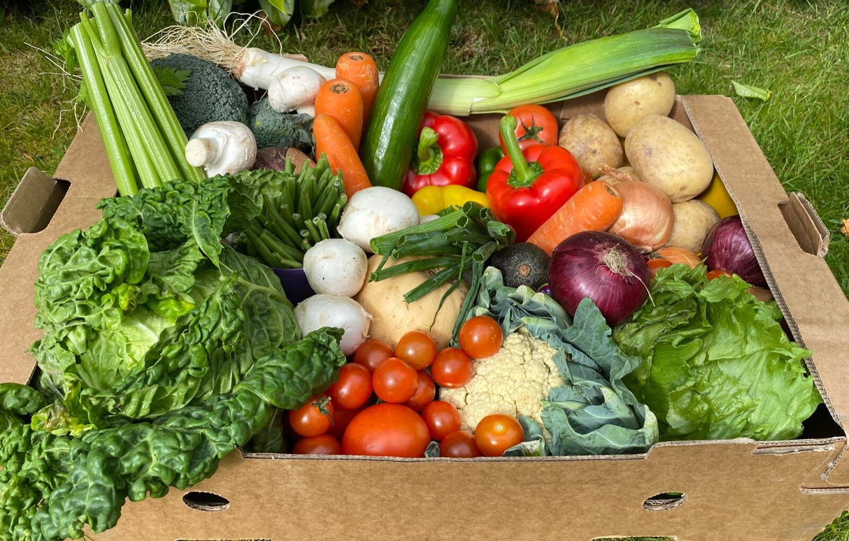 Family Veg and Salad Box