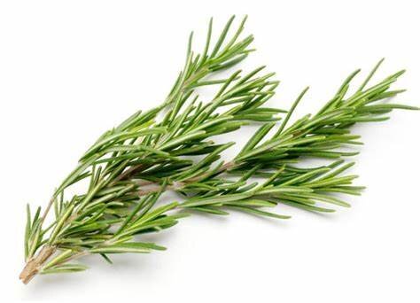 Rosemary